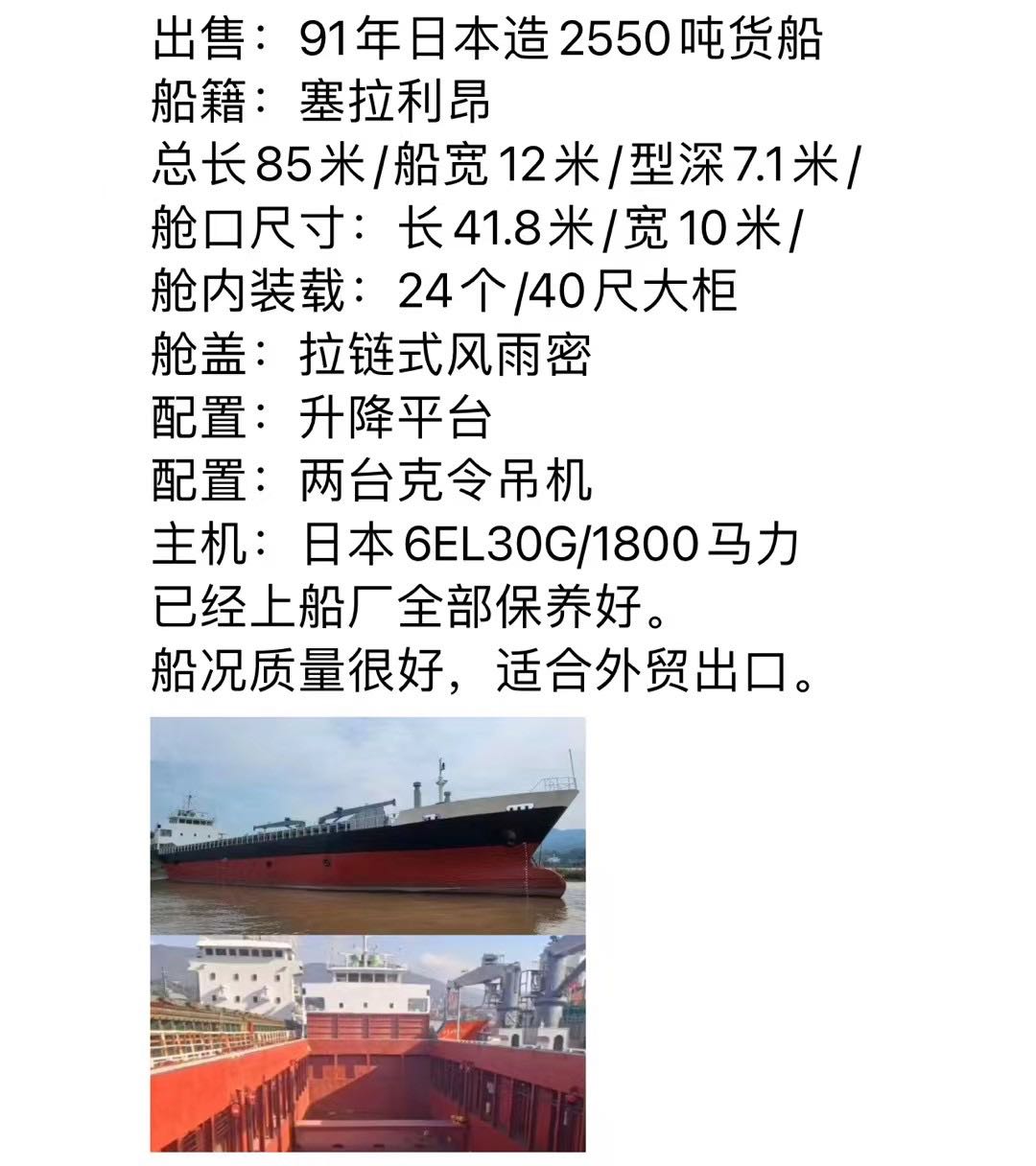 多艘/日本多用途集装箱船 - 图片 3