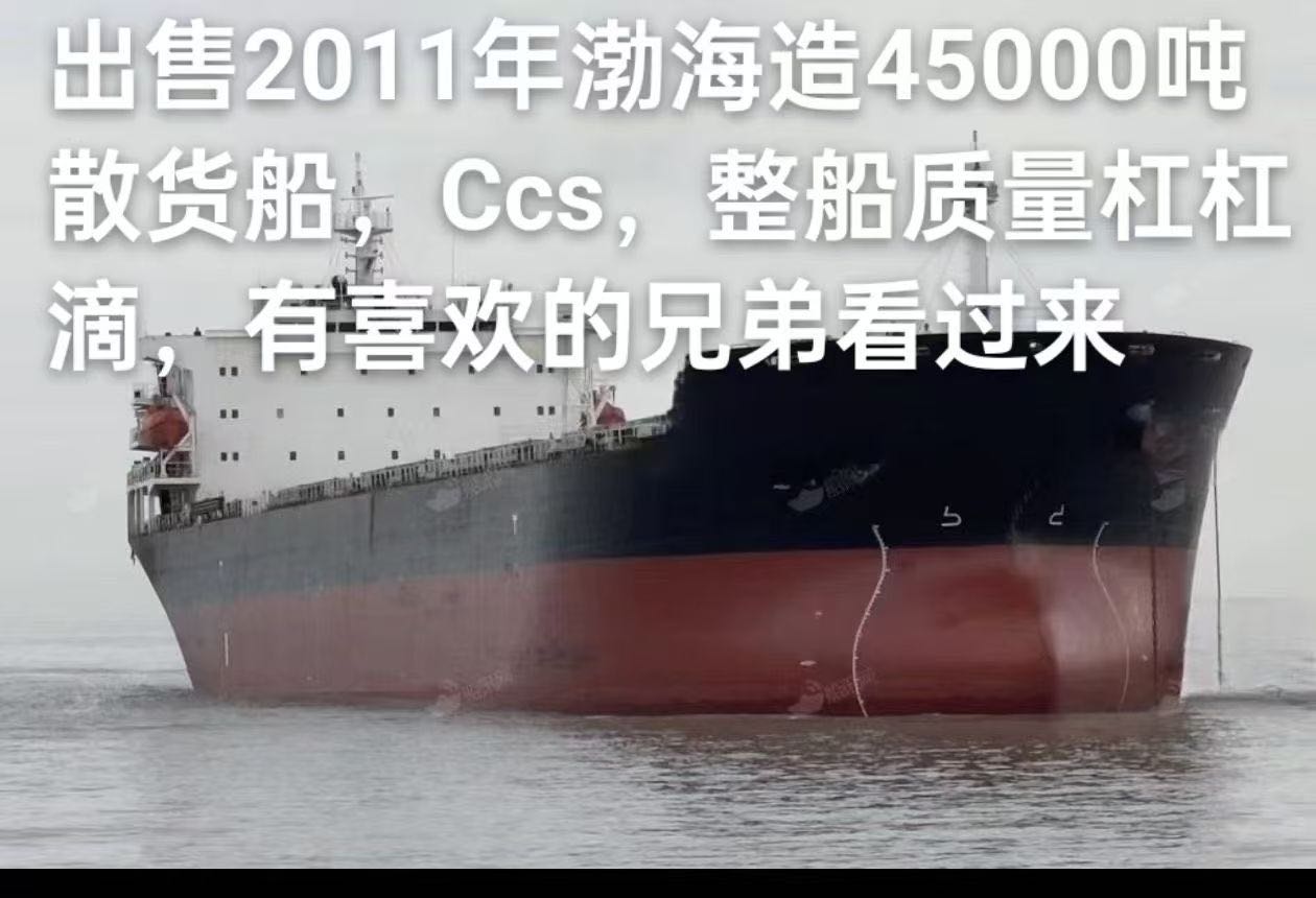 出售2011年渤海造45000吨散货船