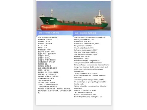 出售:5700吨多用途集装箱船 装载集装箱(315TEU) 建造年份: 2010年 Sale: 5700T/Multi purpose/Container Ship/Made in China in 图1