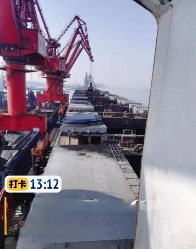 远海内外贸散货船