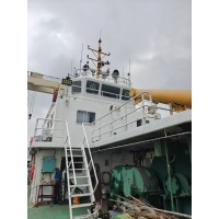 6000马力 普通拖轮 抛锚艇/拖轮 国内ZC检验  出售2022年